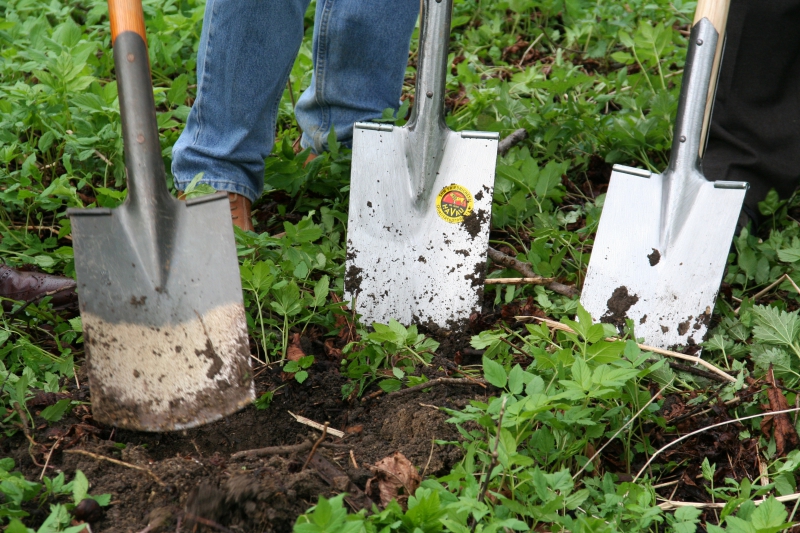 pepiniere-SEILLANS-min_work-lawn-flower-tool-green-backyard-1103633-pxhere.com